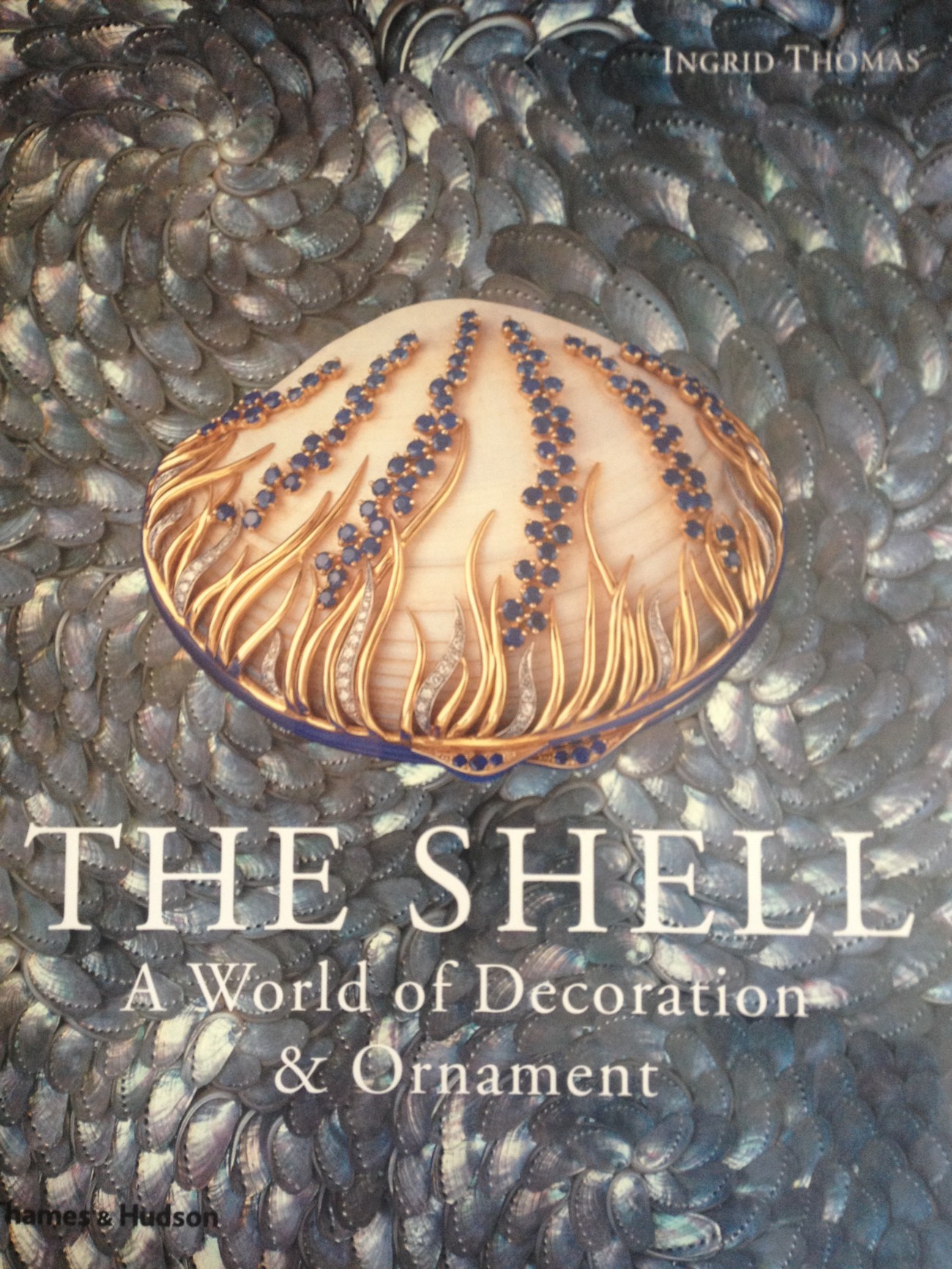 Shell-elation (and Shark Teeth) | In Pursuit of the Essential ...